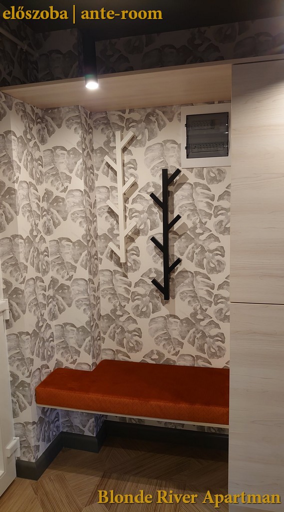 Blonde River Móra Apartment - ante-room Blonde River Móra Apartment - ante-room